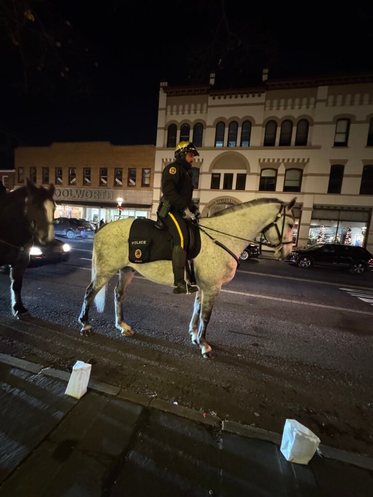 Bethlehem, Pa cops on horses 
